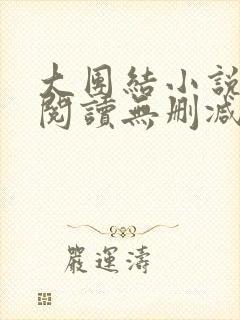 大团结小说在线阅读无删减