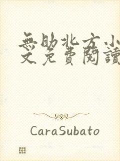 无助北方小说全文免费阅读最新章节