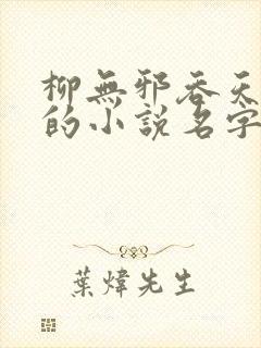 柳无邪吞天神鼎的小说名字