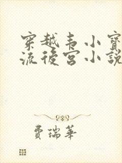 穿越韦小宝之风流后宫小说