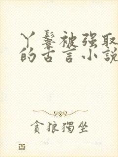 丫鬟被强取豪夺的古言小说