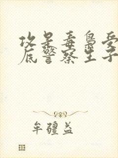 攻是毒枭受是卧底警察生子小说双男