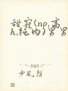 甜宠(np,高h,纯肉)男男