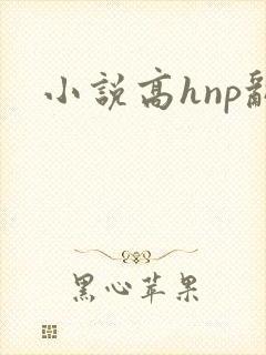 小说高hnp乱