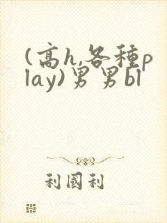 (高h,各种play)男男bl