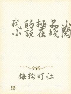 我的极品小姨 小说在线阅读