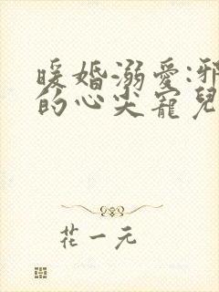 暖婚溺爱:邪少的心尖宠儿