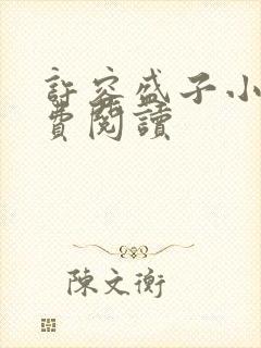 许容盛子小说免费阅读