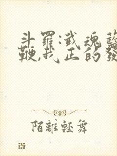 斗罗:武魂蓝银鞭,我正的发邪