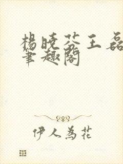 杨晓芬王磊小说笔趣阁封面