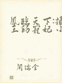 凤临天下:摄政王的宠妃 小说