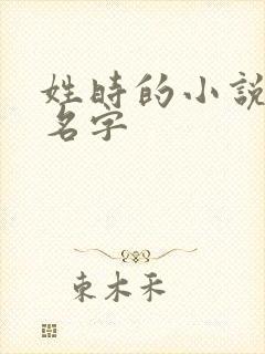 姓时的小说女主名字