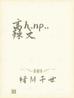 高h.np..辣文