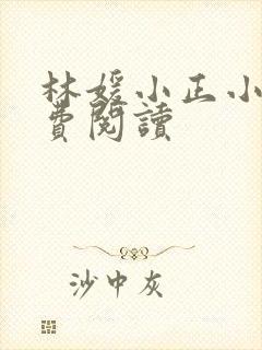 林媛小正小说免费阅读