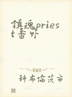 镇魂priest番外
