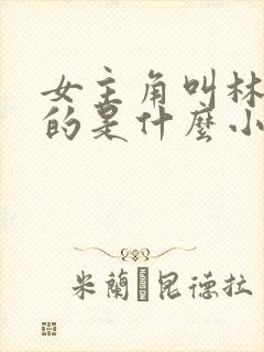 女主角叫林知夏的是什么小说