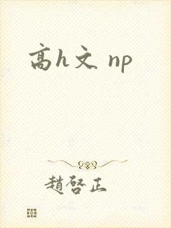 高h文 np