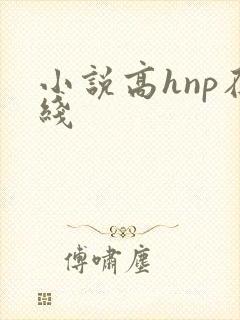 小说高hnp在线