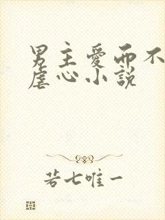 男主爱而不得的虐心小说