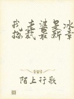 我老婆是冰山女总裁最新章节小说