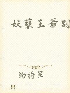 妖孽王爷别乱来