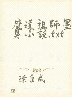 魔道祖师墨香铜臭小说.txt