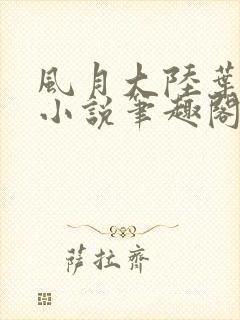 风月大陆叶天龙小说笔趣阁