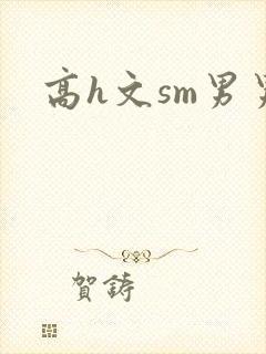 高h文sm男男