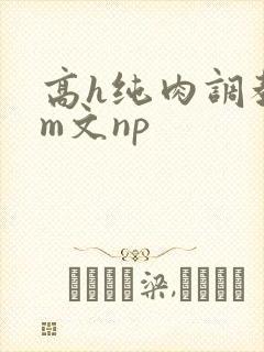 高h纯肉调教sm文np