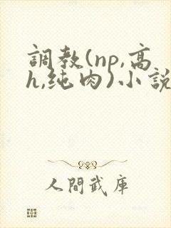 调教(np,高h,纯肉)小说