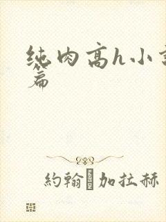 纯肉高h小说短篇