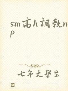 sm高h调教np
