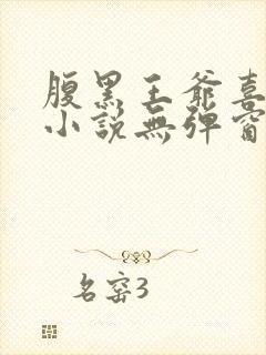 腹黑王爷喜当爹小说无弹窗