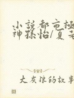 小说都市极品医神孙怡/夏若雪离线下载