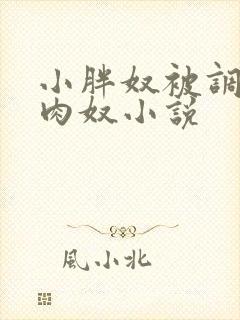 小胖奴被调教成肉奴小说