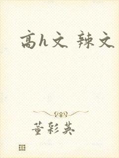 高h文 辣文