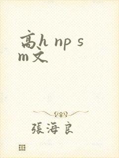 高h np sm文