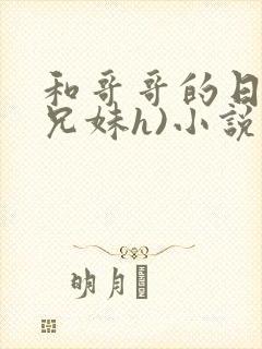 和哥哥的日夜(兄妹h)小说