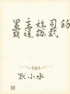 男主姓司的小说霸道总裁