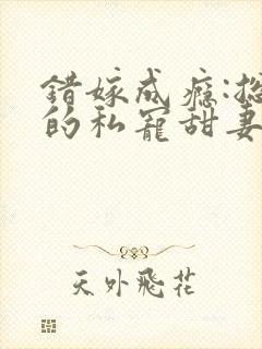 错嫁成瘾:总裁的私宠甜妻