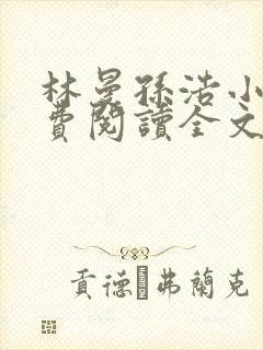 林曼孙浩小说免费阅读全文最新章节封面