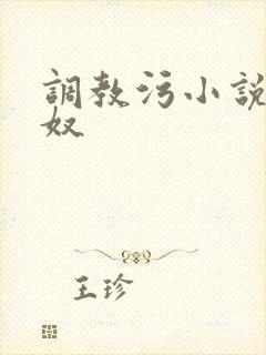 调教污小说高h奴