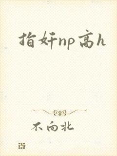 指奸np高h