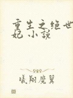 重生之绝世太子妃 小说