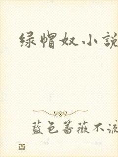 绿帽奴小说在线