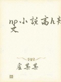 np小说高h辣文封面