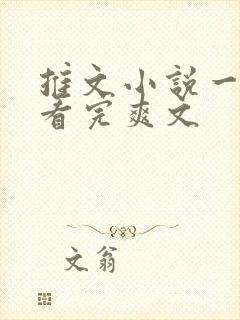 推文小说一口气看完爽文封面