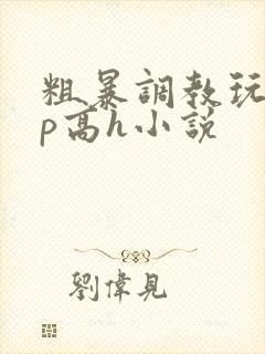 粗暴调教玩弄np高h小说封面