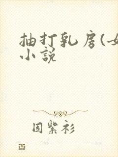 抽打乳房(女)小说