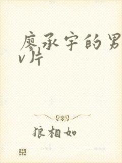 廖承宇的男男gv片